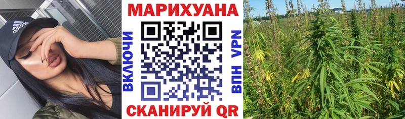 Продажа наркотиков Злынка Альфа ПВП  Метамфетамин  Бошки Шишки  Гашиш 