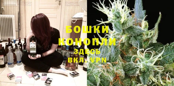 гидра Абаза