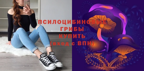 spice Пересвет