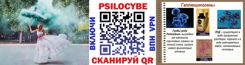 Галлюциногенные грибы GOLDEN TEACHER  Злынка 