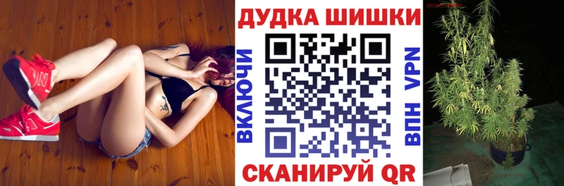 мориарти телеграм Злынка Бошки марихуана конопля